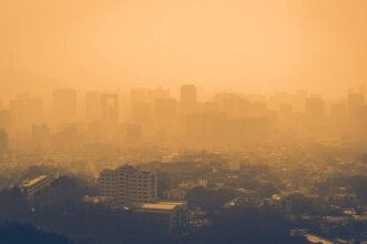 Ozone Pollution Costs Asia Billions of Dollars in Crop Losses: Study