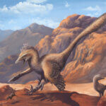 A Dinosaur A Day: Velociraptor mongoliensis, V. osmolskae
