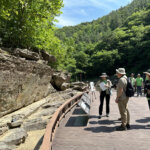 Inspection to add prehistoric carvings of Bangucheon to U…