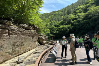 Inspection to add prehistoric carvings of Bangucheon to U…
