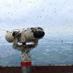 Seoul's Swarm of 'lovebugs' - BBC Newsround