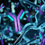 Lupus: Genetics, Disease Markers & Potential Alternative Treatme…