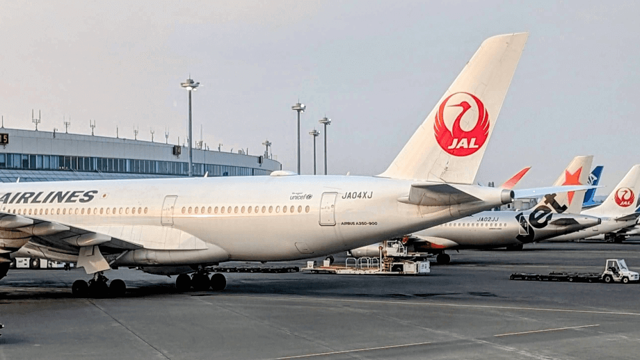Japan Bans Power Panks In Overhead Compartments From July 8, 2025 ...