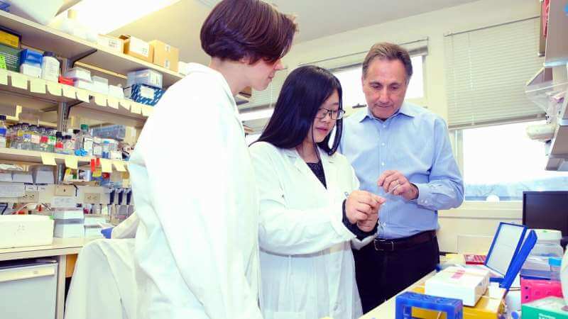 IncRNA's role in triple-negative breast cancer provides potential ...