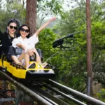 Tour Đà Lạt - Let's Fly Travel