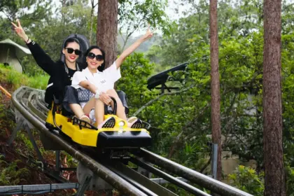 Tour Đà Lạt - Let's Fly Travel