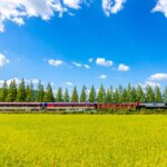 Seoul to Busan & Beyond: How to Use The KORAIL PASS - Klook Travel Blog
