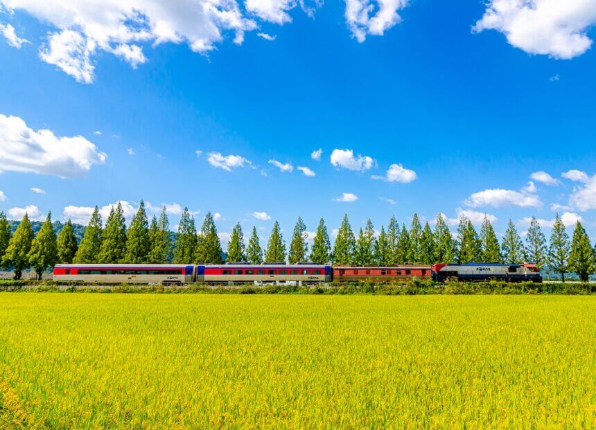 Seoul to Busan & Beyond: How to Use The KORAIL PASS - Klook Travel Blog