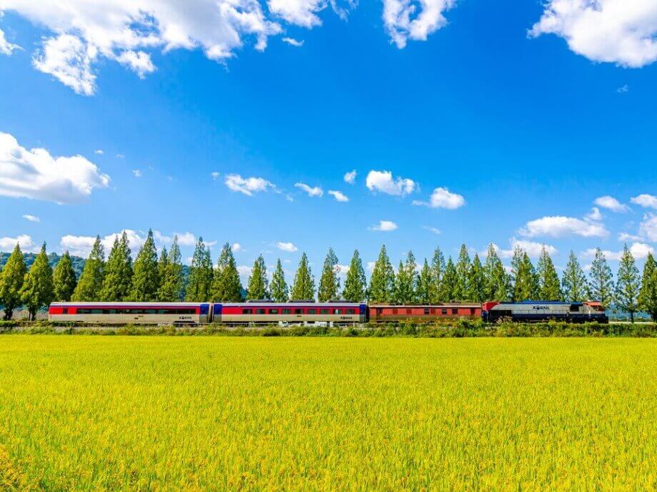Seoul to Busan & Beyond: How to Use The KORAIL PASS - Klook Travel Blog