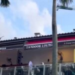 30 Monkeys Invade Punggol Settlement Shops & Steal Food, Business ...