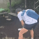 Lovebug invasion: Are t…