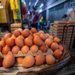Egg prices hold steady as subsidy reduction takes effect; consumers urged …