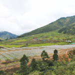 Latest News – Druk Green Power Corporation Limited