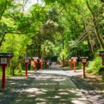 Your Guide to Mt. Takao’s Seasonal Events: Nature, History, and Culture ...