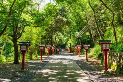 Your Guide to Mt. Takao’s Seasonal Events: Nature, History, and Culture ...