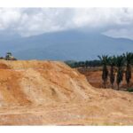 AI Boom Is Turning Malaysia's Palm Oil Estates Into Data C…