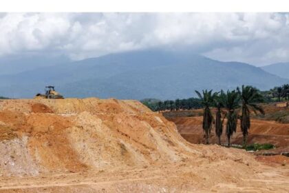 AI Boom Is Turning Malaysia's Palm Oil Estates Into Data C…