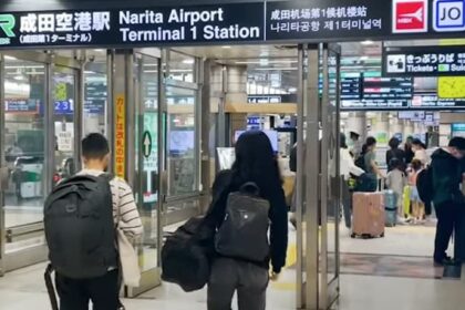 How to Use the Narita Express (N'EX) from Narita Airport - Trip To Japan