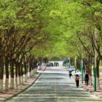 road, campus, china, school, street, youth, campus, campus, campus, campus, campus