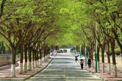 road, campus, china, school, street, youth, campus, campus, campus, campus, campus