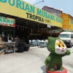 KL Durians Top 5 Spots You Can’t Miss — Musang King …