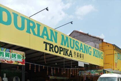 KL Durians Top 5 Spots You Can’t Miss — Musang King …