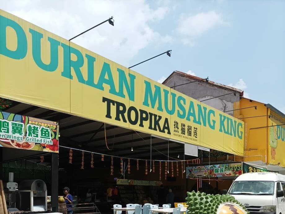 KL Durians Top 5 Spots You Can’t Miss — Musang King …