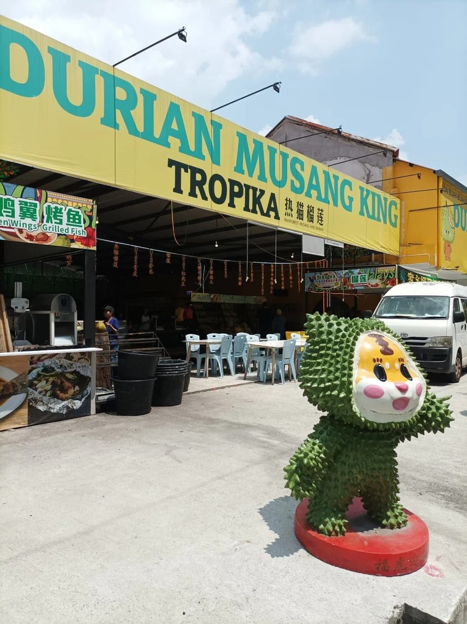 KL Durians Top 5 Spots You Can’t Miss — Musang King …