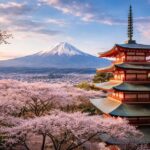 Why Japan Is Cancelling Its Iconic 2026 Sakura Festival