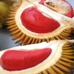 Khasiat Makanan Tradisional Sabah & Sarawak - Portal Kesihatan No.1