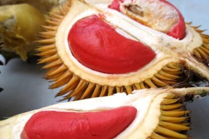 Khasiat Makanan Tradisional Sabah & Sarawak - Portal Kesihatan No.1