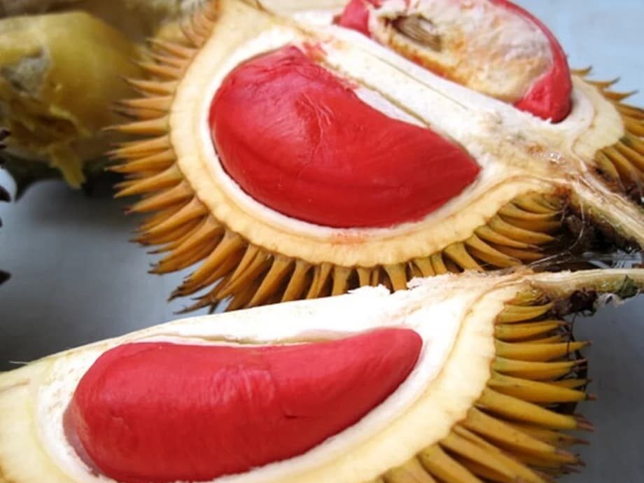 Khasiat Makanan Tradisional Sabah & Sarawak - Portal Kesihatan No.1