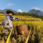 China Farming Practices Irrigation Project Cultivates Jobs And Incomes