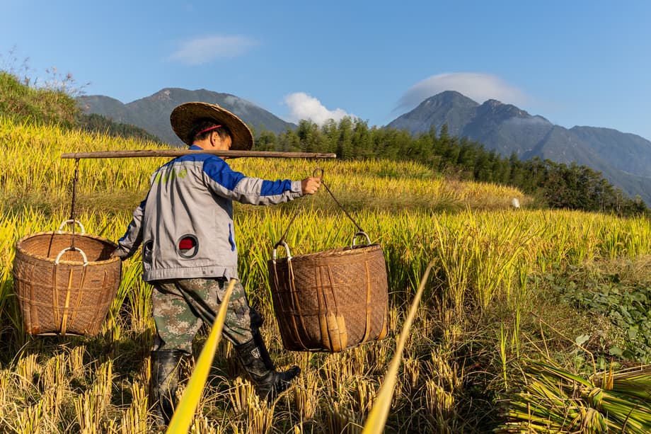 China Farming Practices Irrigation Project Cultivates Jobs And Incomes