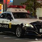 CWUR World University Rankings 2025: University of Tokyo Maintains Top ...