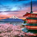Japanese Pagoda With Cherry Blossoms Drawings Cherry Blossoms Calling: