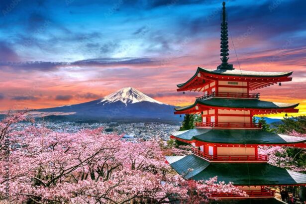 Japanese Pagoda With Cherry Blossoms Drawings Cherry Blossoms Calling: