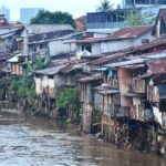 Explosion of janitor fish is a sign Ciliwung River heavily polluted ...