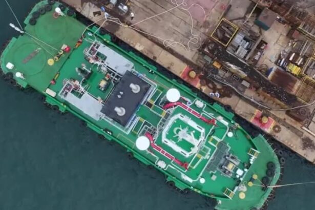 'World's first' green ammonia ship refuelling completed — using ...