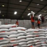 Indonesia's Food and Agricultural Economy is Still Unstable