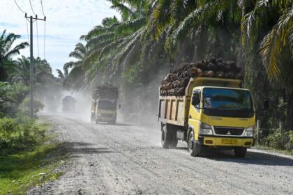 Indonesia says US agrees tariff exemption for its palm oil, cocoa and ...