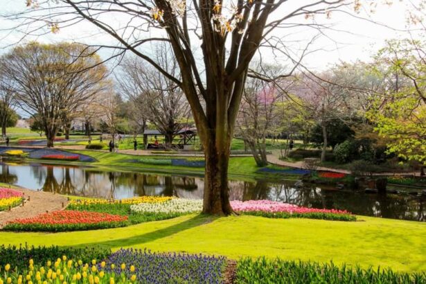 Showa Kinen Park History – 昭和記念公園 開園状況現在 – LROWGL