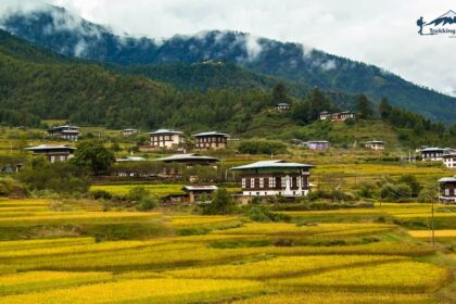 Legacy of Bhutan Tour | Best Bhutan Tour | Trekking Trail Bhutan
