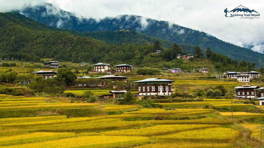 Legacy of Bhutan Tour | Best Bhutan Tour | Trekking Trail Bhutan