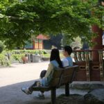 Temple Matchmaking Retreat Draws 1,600 Applicants for 24 Spots - Se…